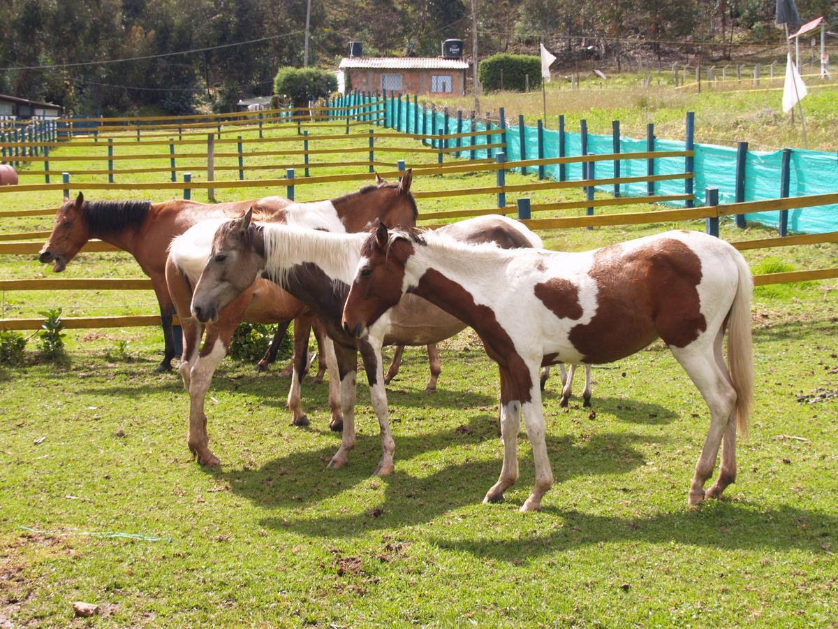 Hotel Rural La Esperanza Suesca Εξωτερικό φωτογραφία